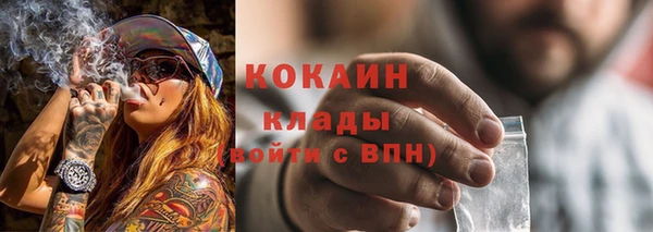 индика Киреевск