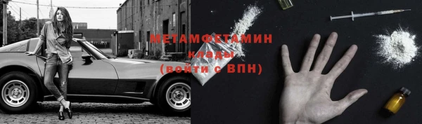 крисы Козловка