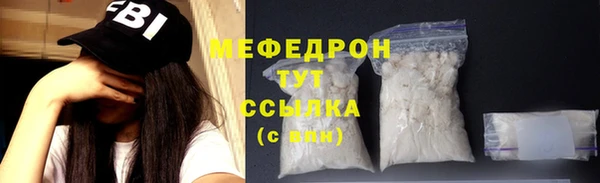 мдпв Краснослободск