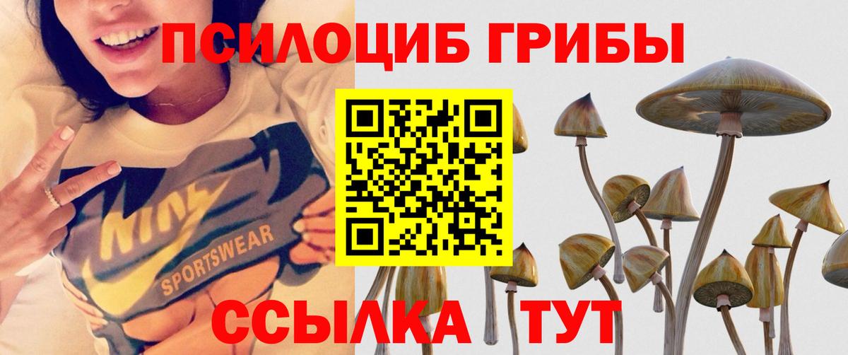 Мелеуз  Галлюциногенные грибы мицелий  Псилоцибиновые грибы Cubensis  где продают наркотики  Вход с VPN 